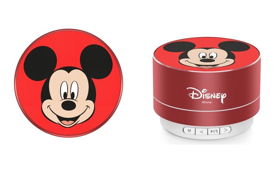 Disney Winnie the Pooh Puuh/ Mickey Maus / Gryffindor / Harry Potter/ externer Kinder Lautsprecher Sterio tragbar 3W