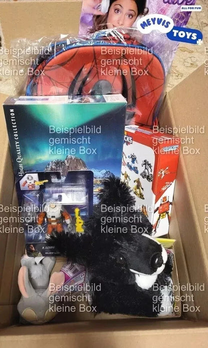 Spielzeug Kleine Mystery Box Kinder Mädchen & Jungen GEMISCHT Geschenk Paket Mischpaket Neuware Markenware Überraschung Set Surprise Mix NEU